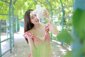 The impact of the dengue fever epidemic in Shanghai on rural communities